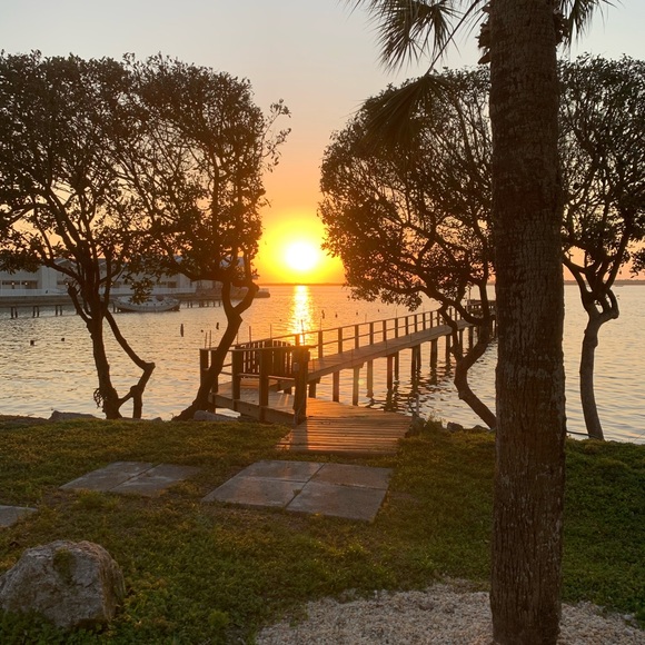 about PARROT KATIE🎀 - Picture 8 of 9